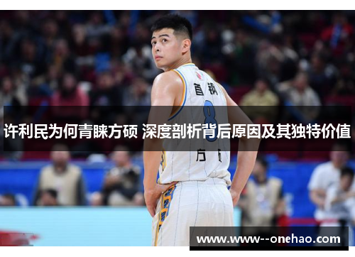 许利民为何青睐方硕 深度剖析背后原因及其独特价值