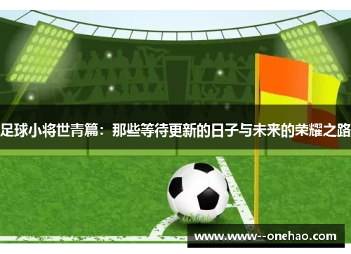 足球小将世青篇：那些等待更新的日子与未来的荣耀之路